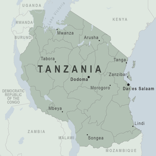 Tanzania safari wildlife and diverse landscapes showcasing the best activities and attractions